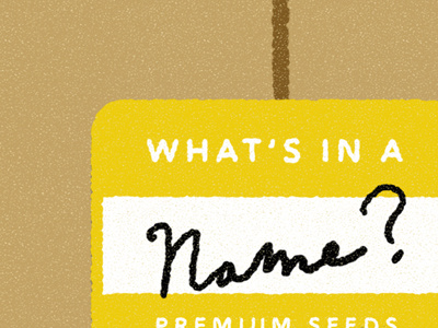 What S In A Name By Bryan Satalino On Dribbble