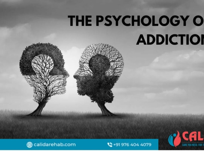 Curious About What Is The Psychology Of Addiction Check Out By