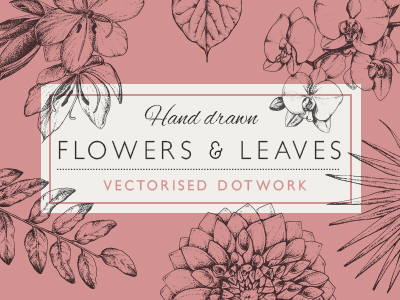 Dotwork Flowers And Leaves By Stefanie Bendfeldt On Dribbble