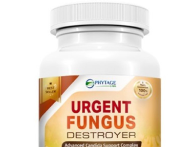 Fungus Destroyer Dribbble