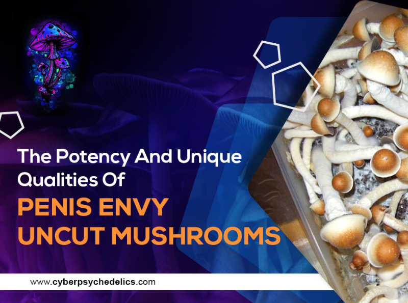 The Potency And Unique Qualities Of Penis Envy Uncut Mushrooms By Cyber