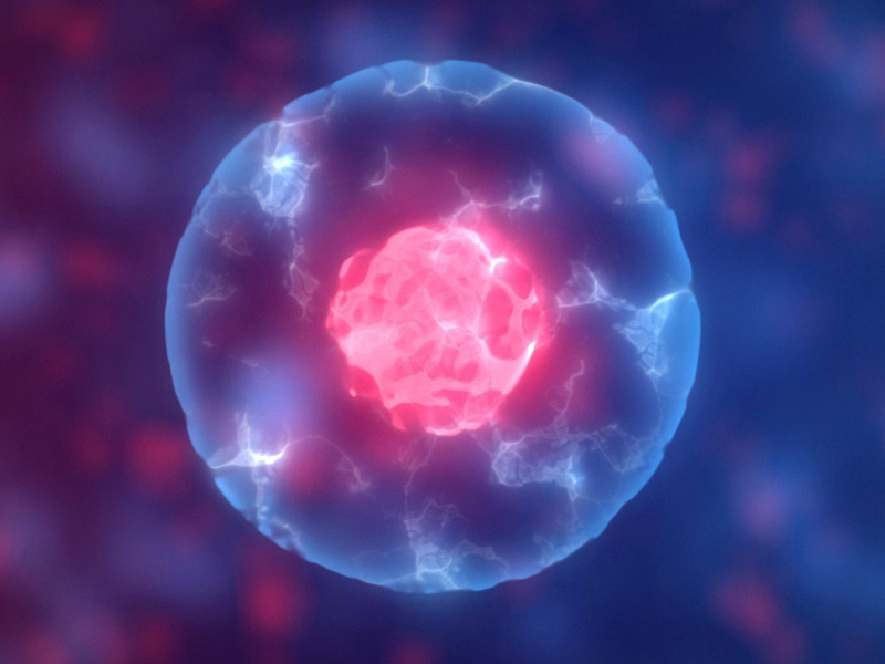 Cell division Loop