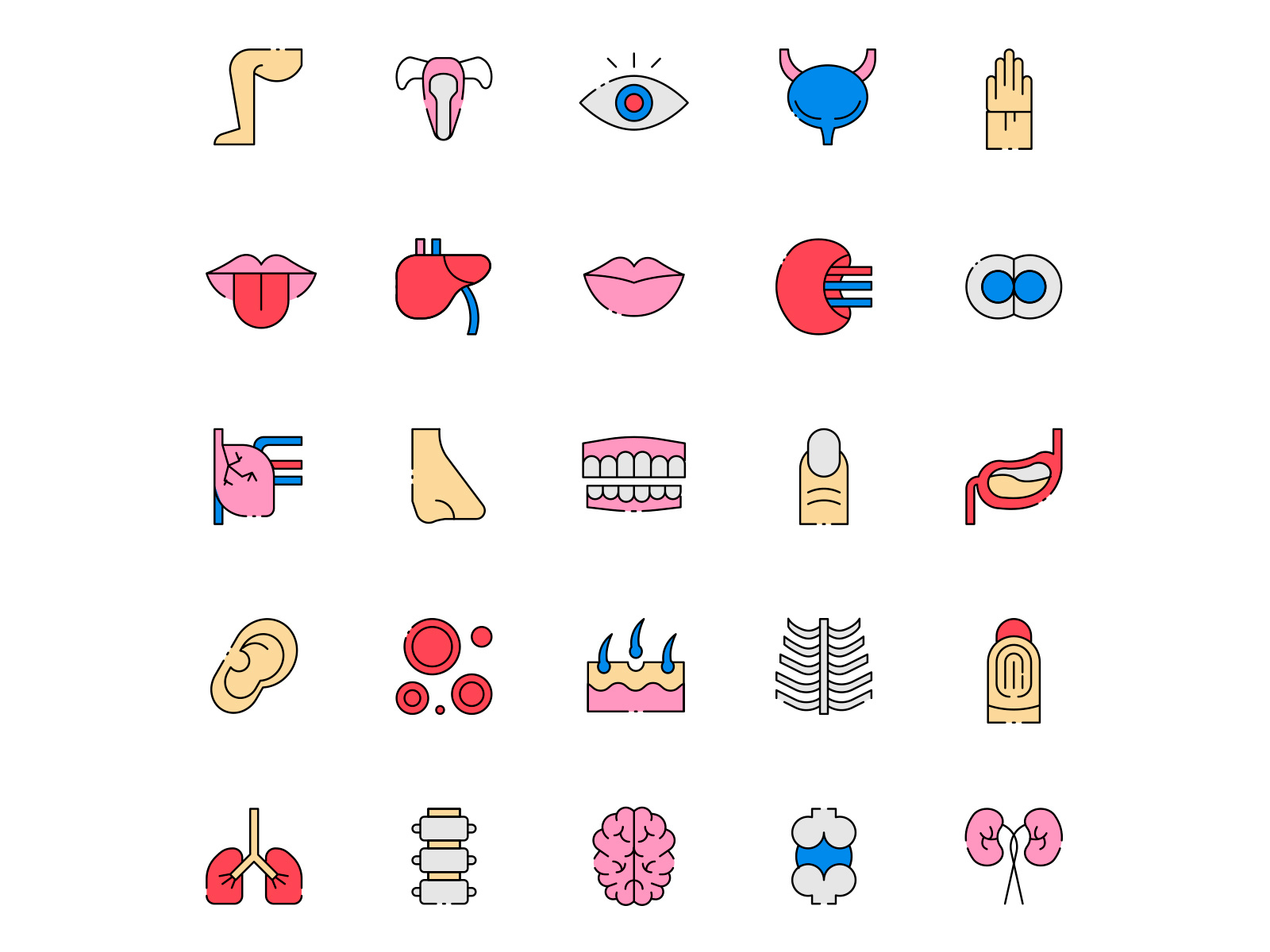 Colored Human Body Icons By Unblast On Dribbble