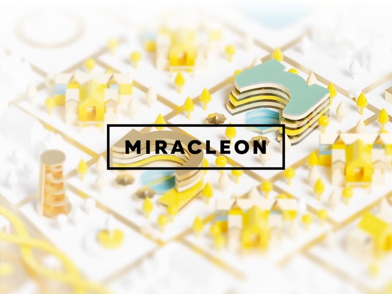 Website development for Miracleon