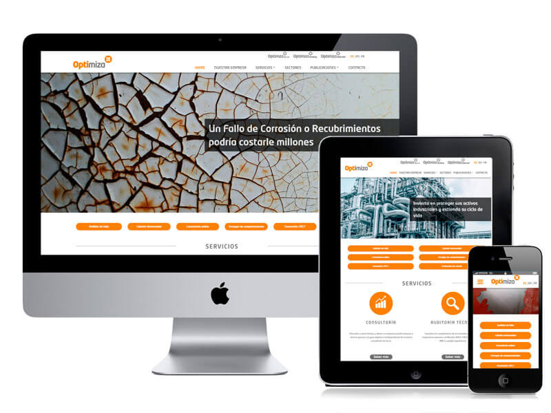 Diseño y Desarrollo Web Optimiza