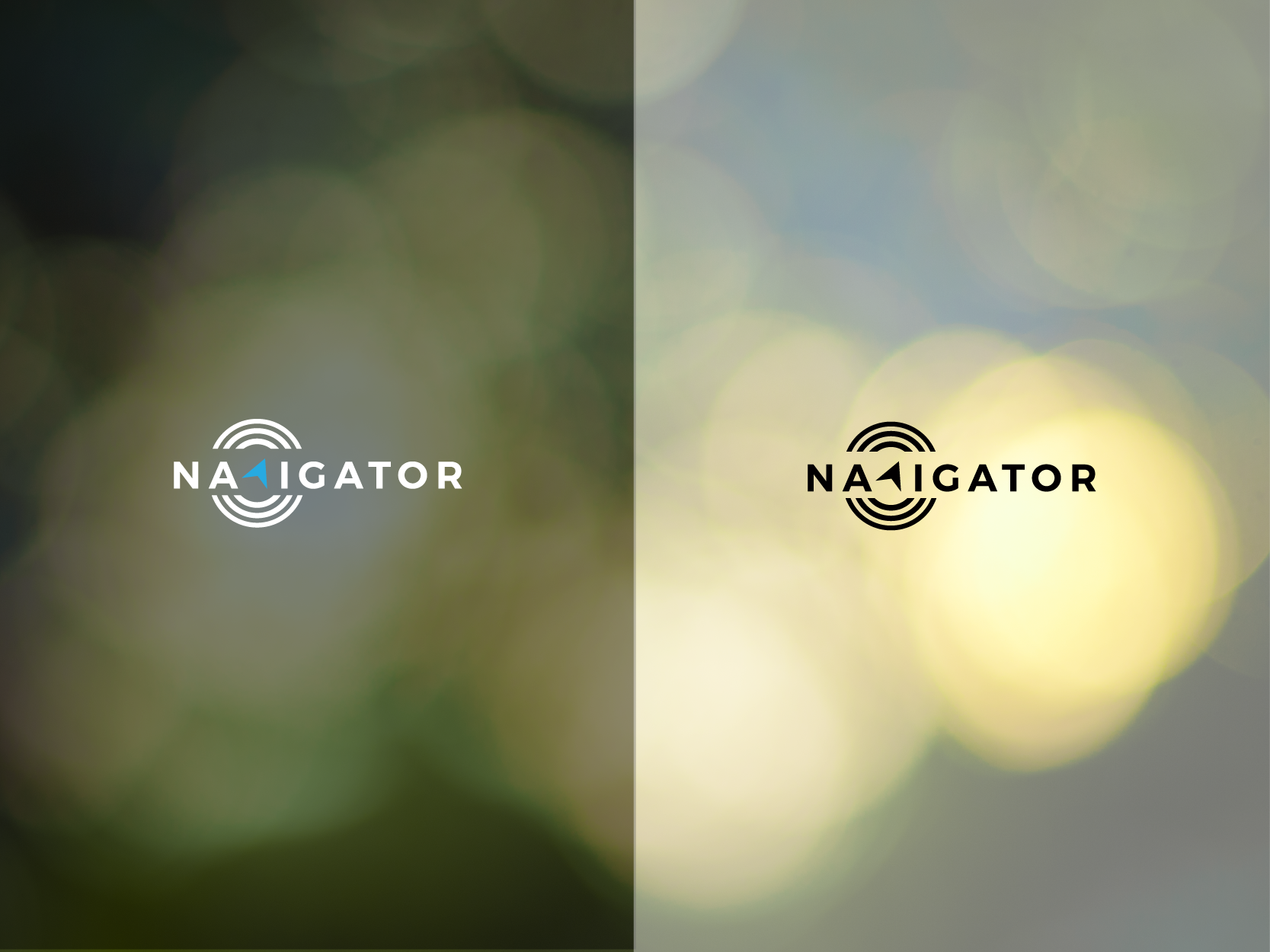 Minimalist Business Logo Design