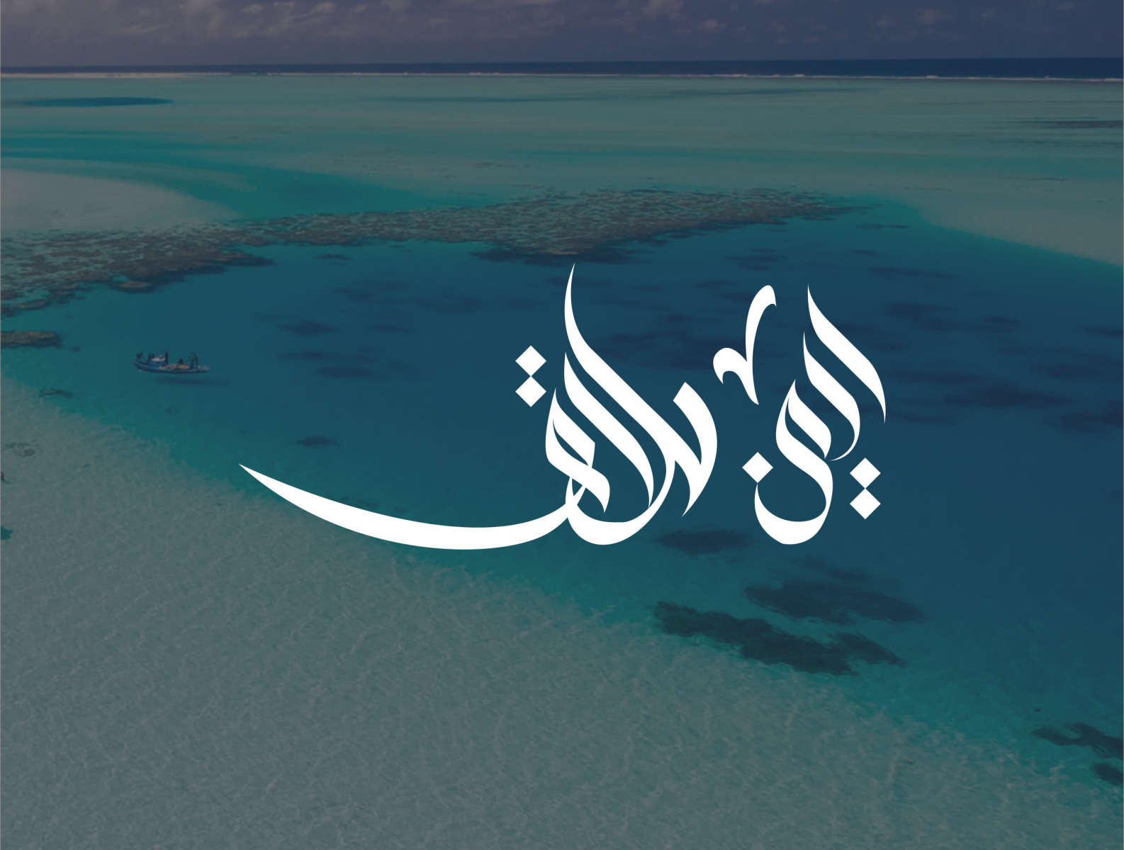 Arabic Logo Name Aiman Halaq By Qimed Id On Dribbble