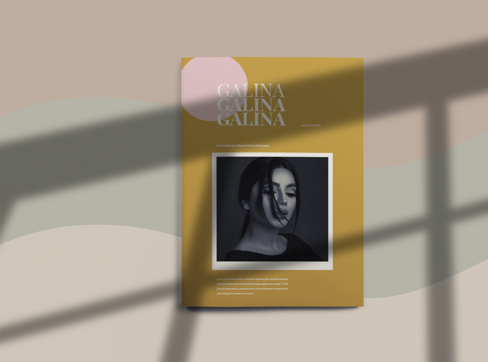 Galina Brochure Template Indesign By Ianmikraz On Dribbble