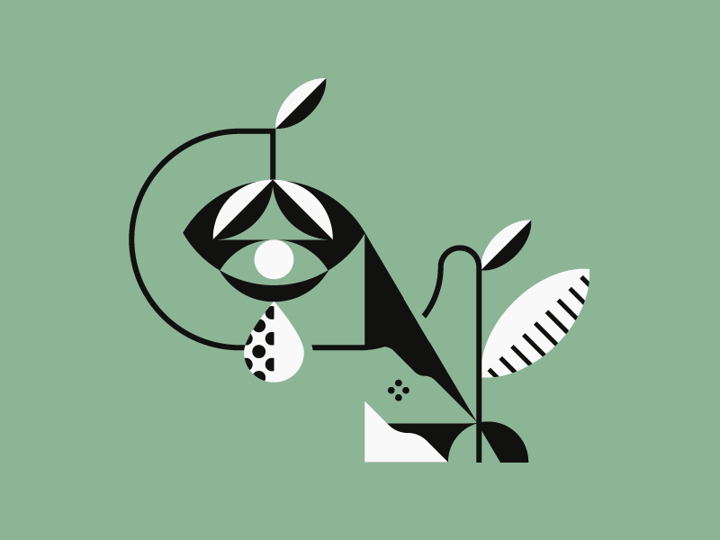 Hayfever By Tristan Kromopawiro On Dribbble