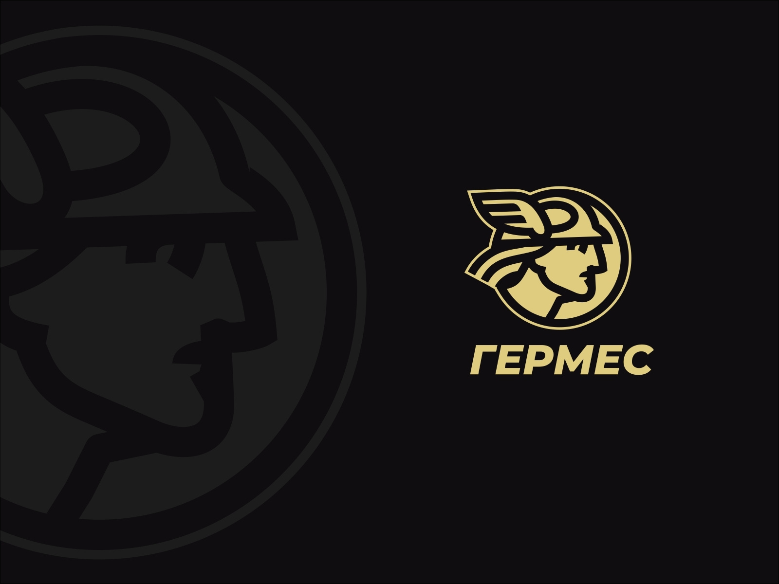 Hermes Logo Design2 By Dmytro Krutko On Dribbble