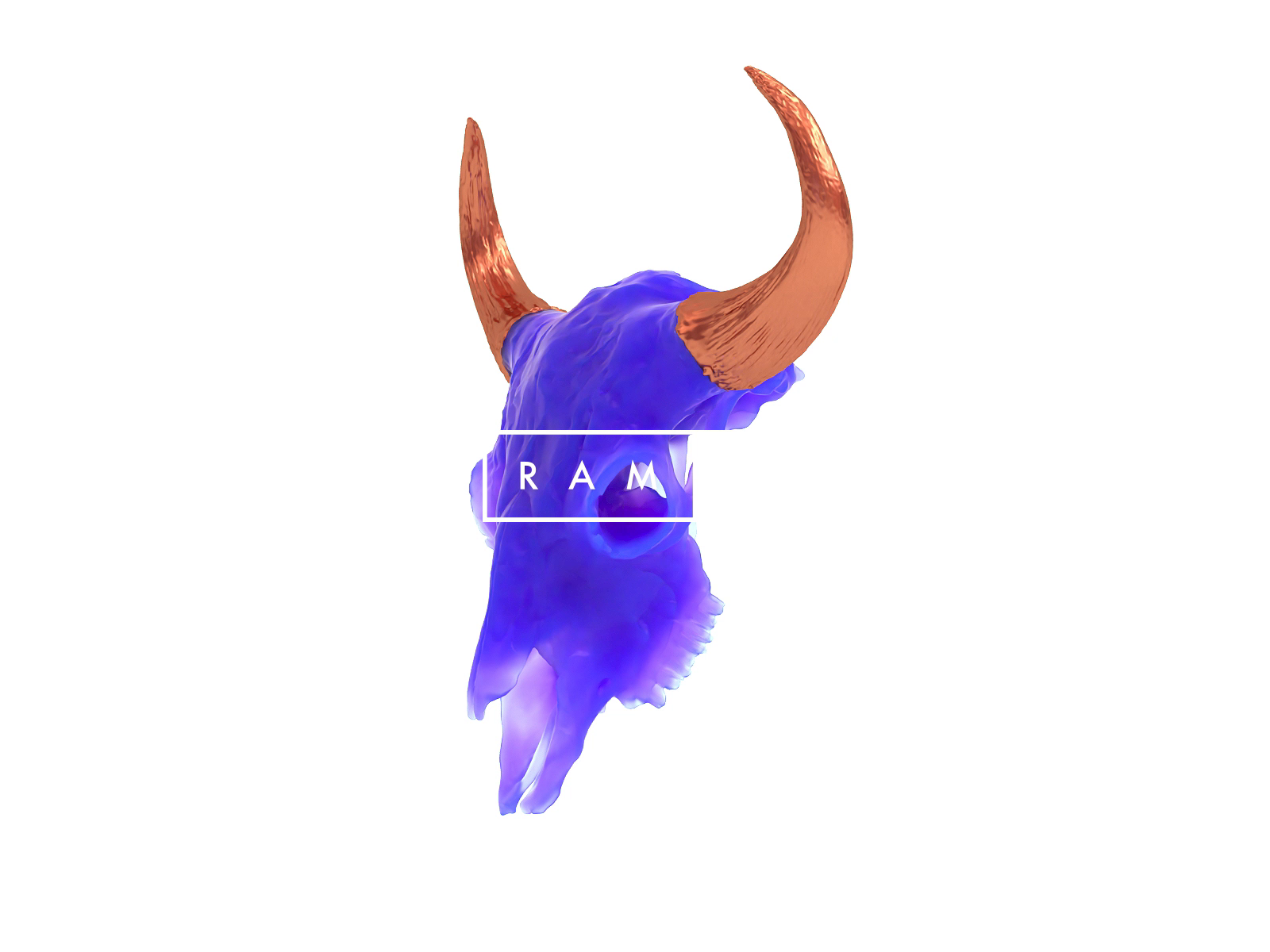 RAM X
