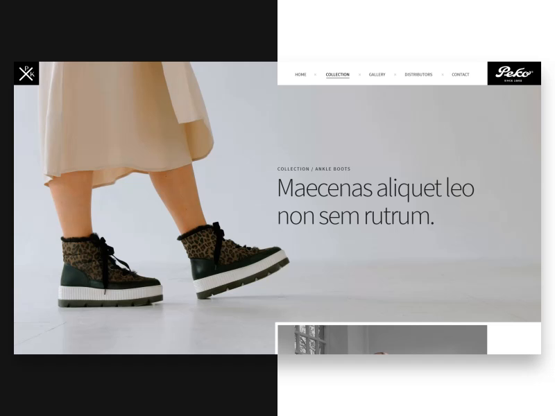 Website Wip By Webshocker Matjaz Valentar On Dribbble