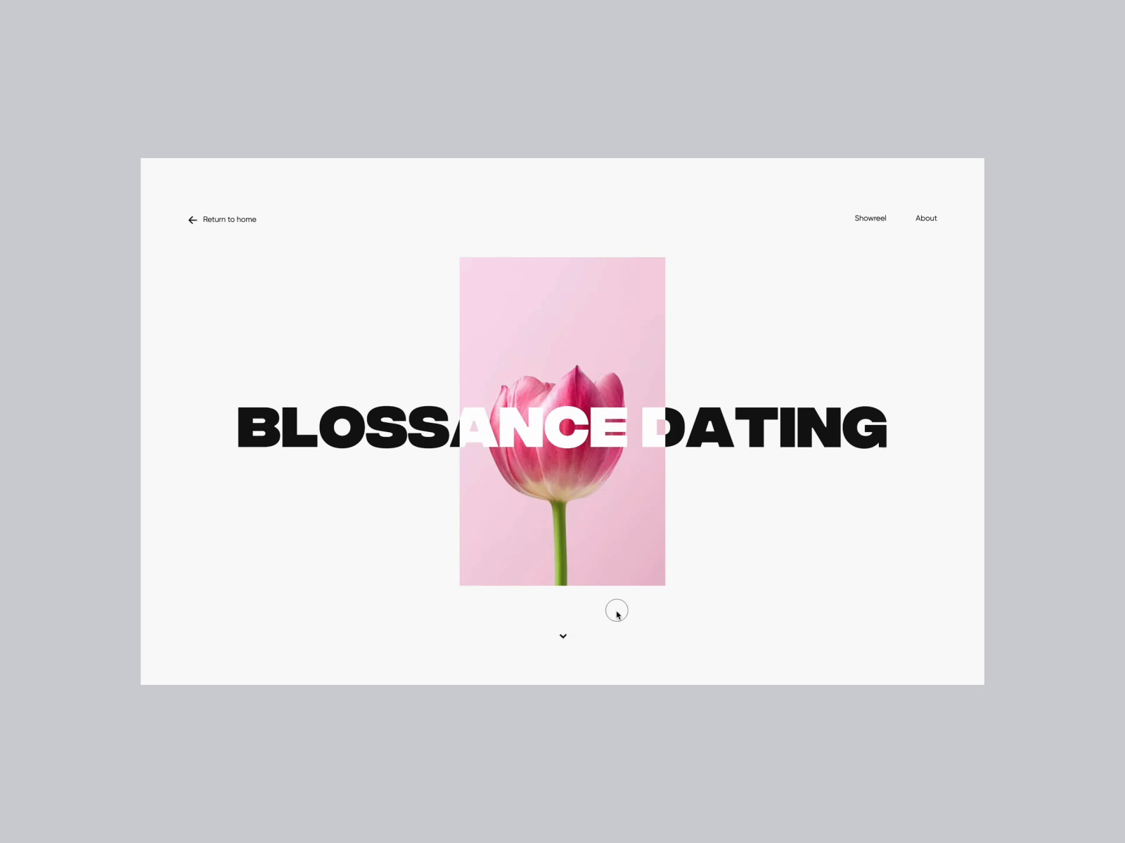 Portfolio '19 – Case study
