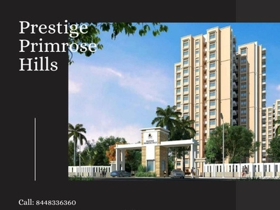 Prestigeprimrosehills Dribbble