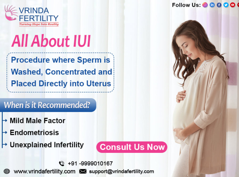 Best Ivf Centre In Noida Vrinda Fertility By Dr Anushka Madan On