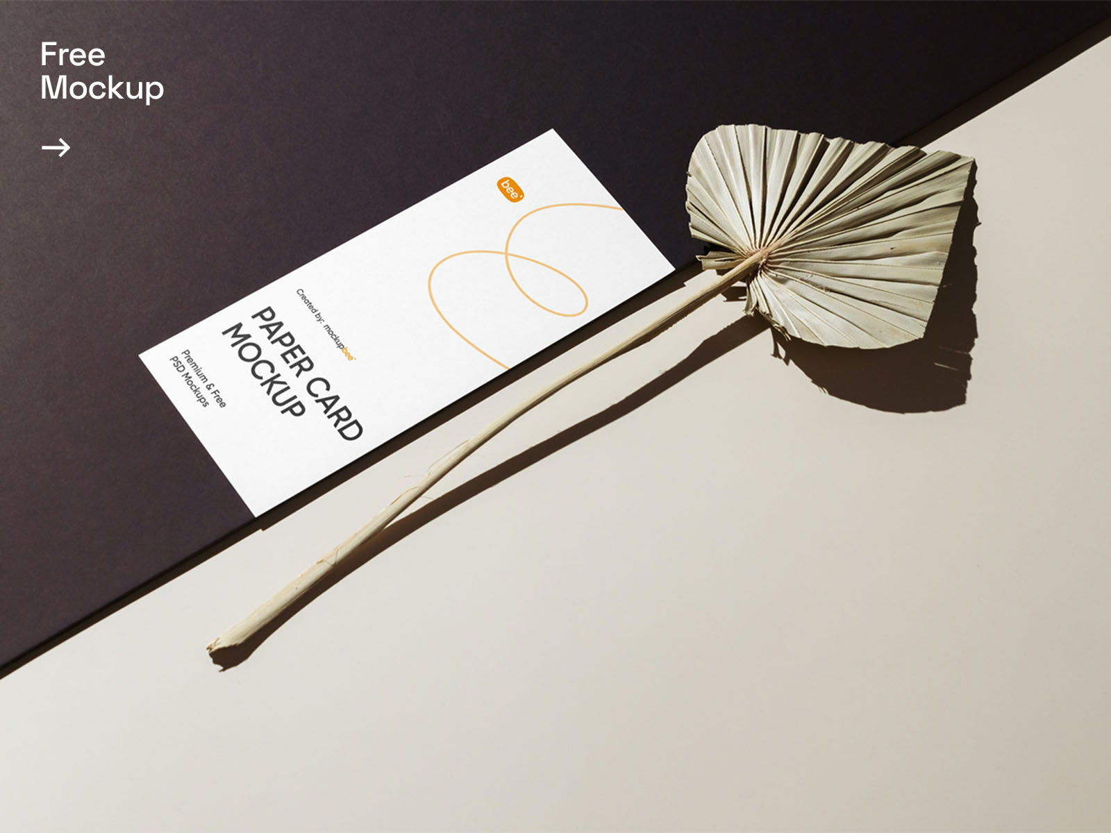 Free Oblong Paper Card With Leaf Mockup By Mockupbee On Dribbble