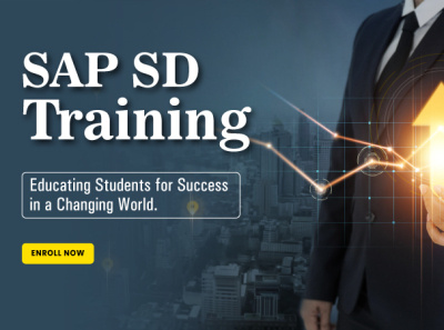 Sap Sd Online Training By Aayu On Dribbble