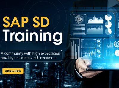 Sap Sd Training By Aayu On Dribbble