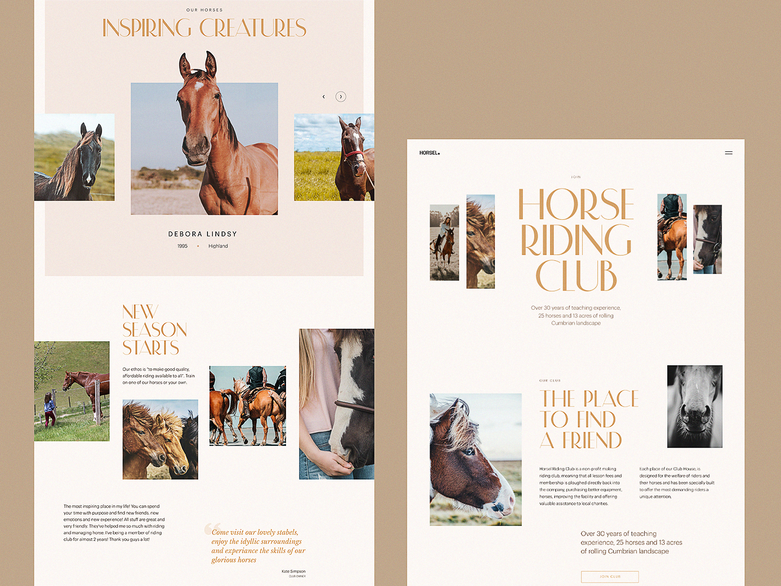 Horse Riding Club Website Design by tubik