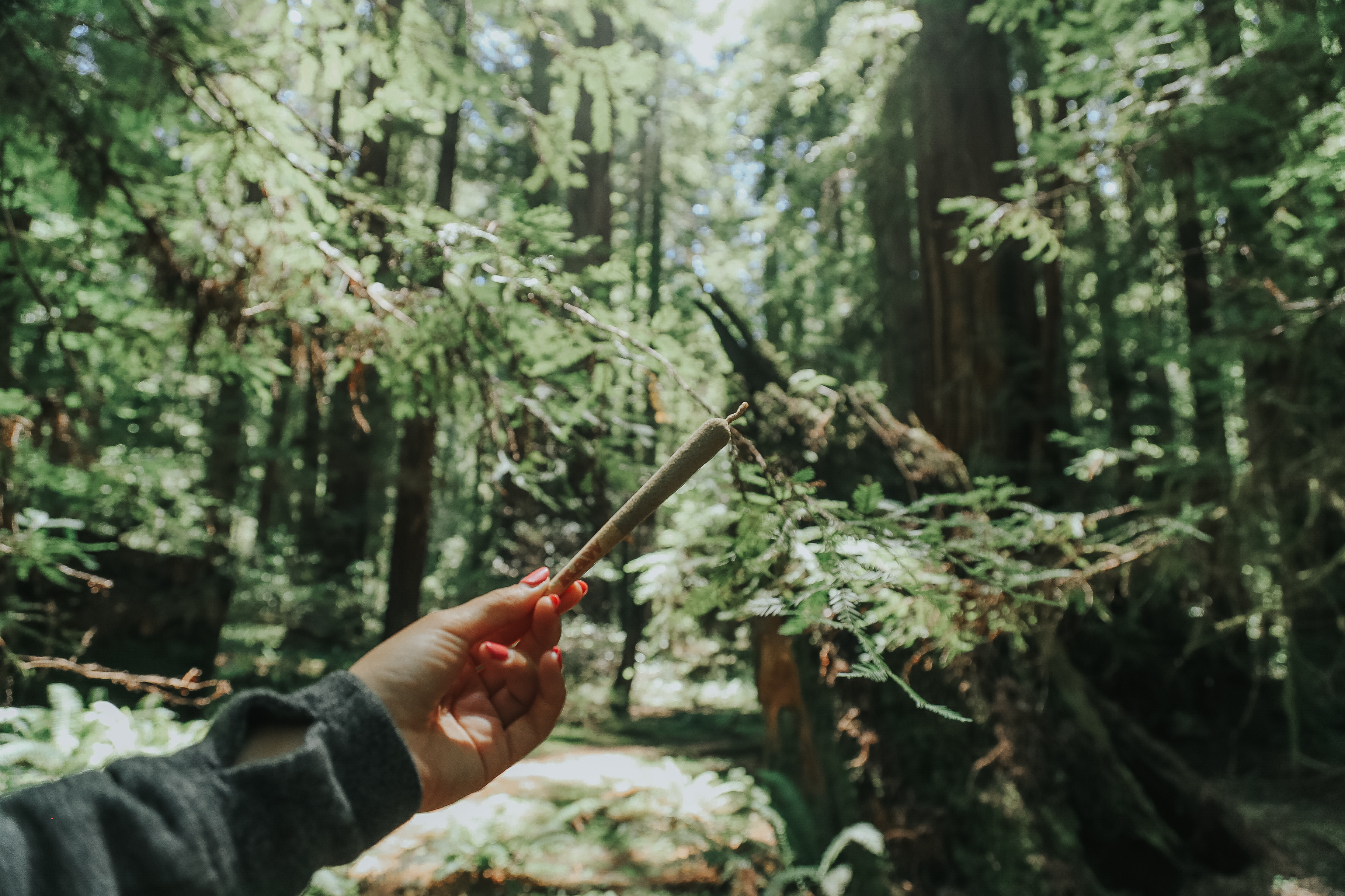 Product Designer at FLOWER CO. - Los Angeles, CA - Dribbble Design Jobs