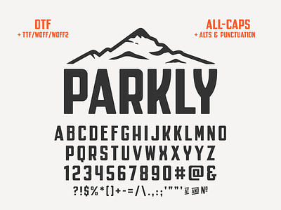 Parkly Font font parkly simplebits typedesign