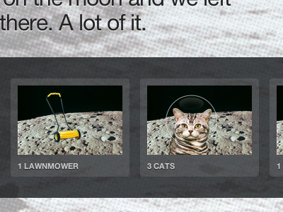 1 lawnmower, 3 cats