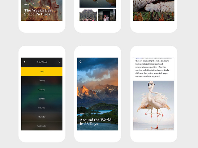 Nat Geo View by Mark Weaver on Dribbble