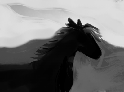 Black Horse illustration
