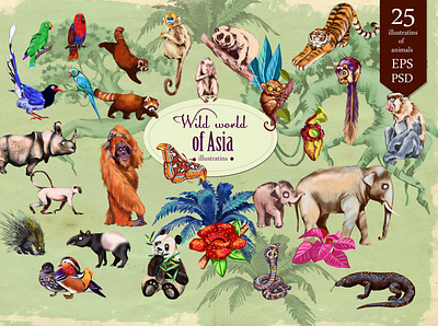 Wild world of Asia animals cliparts creative market digital editorial illustration prints vector