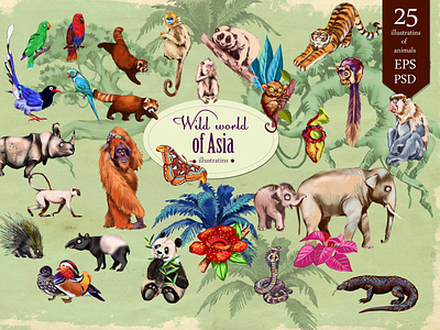 Wild world of Asia