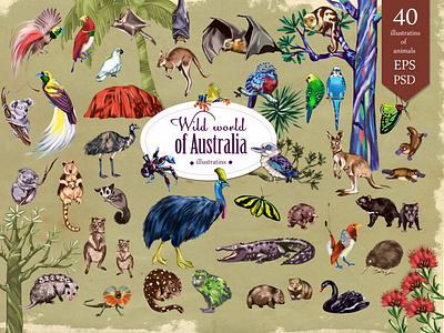 Wild world of Australia