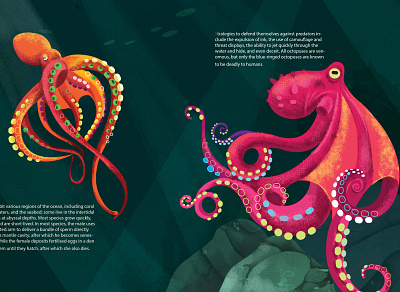 octopuses animals design digital editorial graphic design illustration octopuses vector