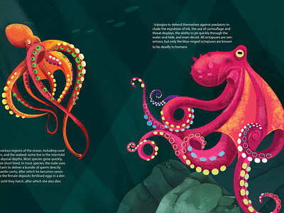 octopuses