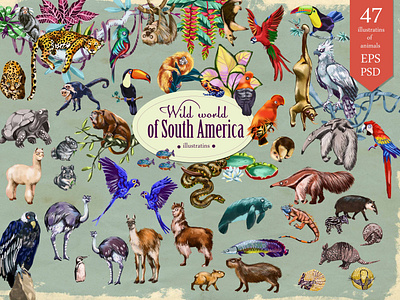 Wild world of South America