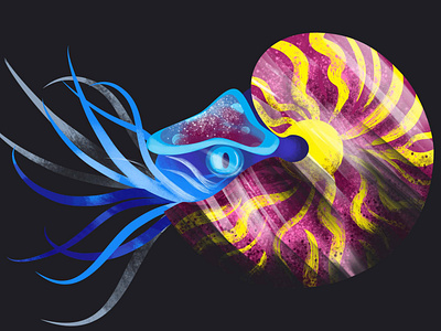 Nautilus animals cliparts branding design digital editorial illustration logo nautilus vector