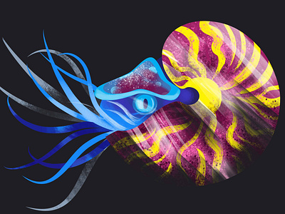 Nautilus animals cliparts branding design digital editorial illustration logo nautilus vector