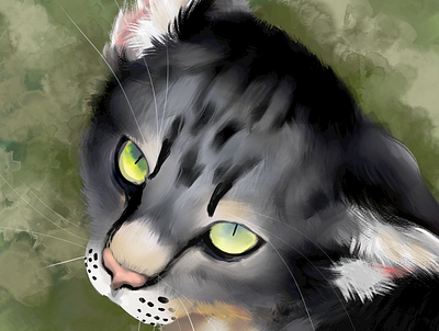 Toby my beloved 2d cat digital art digital painting illustration pet pet portrait portrait