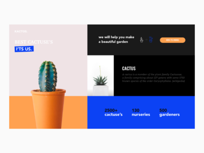 Kactos. Landing page cactus colors landingpage ui userexperiance userinterface ux web webdesign website websitedesign