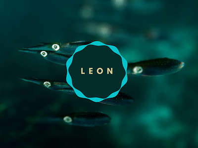 Leon logo branding clean corporate design flat graphic design icon illustration logo minimal photography typography vector