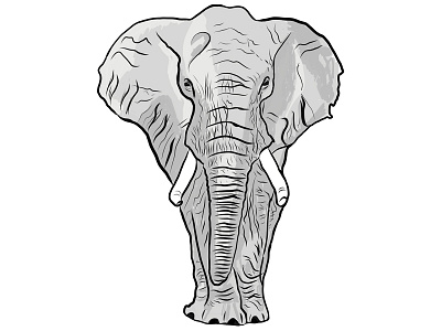 Dribbble elephant vector