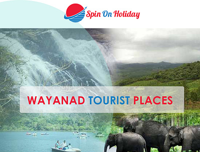 How to Find Top Wayanad Tourist Places? placestovisitinwayanad wayanadtouristplaces