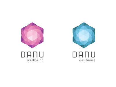 Danu Wellbeing branding danu geometry logo logos management options vector wellbeing