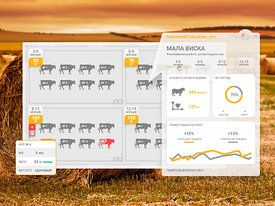 App for cow farm app cow design icon ui ux