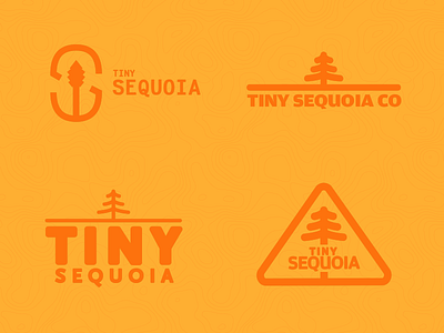 Tiny Sequoia Co - Branding (First Pass) branding decisions delight fresh logo orange sequoia tiny