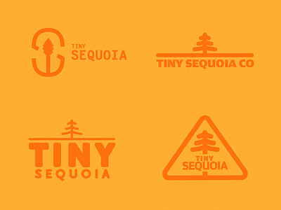 Tiny Sequoia Co - Branding (First Pass)