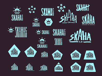 ~ Skaha Co (wip) branding cheesy coastal dangerously decisions freshness logo skaha skyblue