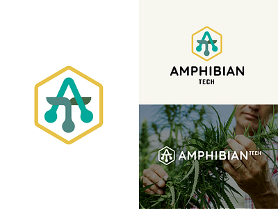 Amphibian Tech Logo adam mendez branding cannabis branding cannabis industry farming hemp logo snackmachine snackmachinecreative tech