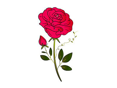 Rose design flat design graphic design icon illustration rose