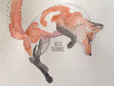 Hello Dribbble animal art design first shot fox