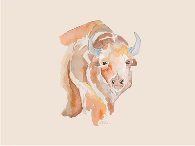 Bison art bison digital ink national park watercolor yellowstone